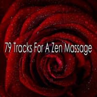 79 Tracks for a Zen Massage