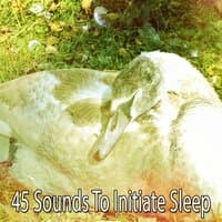 45 Sounds to Initiate Sleep