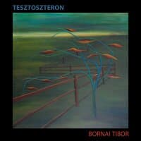 Tesztoszteron