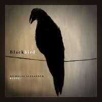 Blackbird