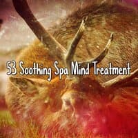 53 Soothing Spa Mind Treatment