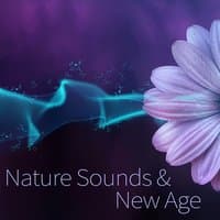 Nature Sounds & New Age – Relaxing Sounds, Pure Mind, Essential Meditation Music, Inner Peace