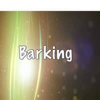 Barking (Tribute to Ramz)