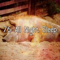 76 All Night Sleep