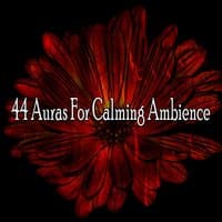 44 Auras for Calming Ambience