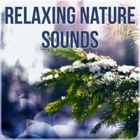 Relaxing Nature Sounds - Relaxation Meditation, Sound Therapy, Sounds of Nature, Music for Healing Through Sound, Music for Yoga, Gentle Touch