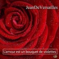 L'amour est un bouquet de voilettes