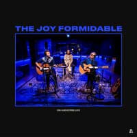 The Joy Formidable on Audiotree Live