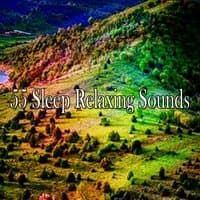 55 Sleep Relaxing Sounds