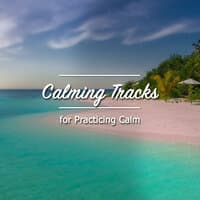 #11 Naturally Calming Tracks for Practicing Calm