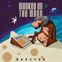 Monkey on the Moon