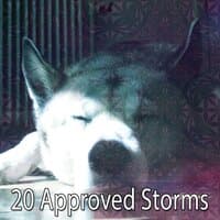 20 Approved Storms