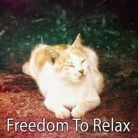 Freedom To Relax