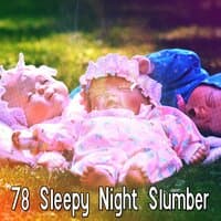 78 Sleepy Night Slumber