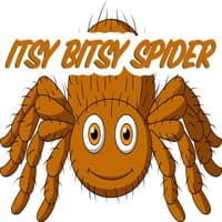 Itsy Bitsy Spider