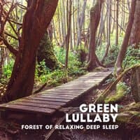 Green Lullaby: Forest of Relaxing Deep Sleep