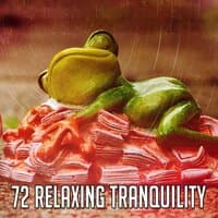 72 Relaxing Tranquility