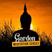 2018 Garden Meditation Senses