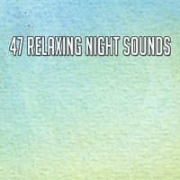 47 Relaxing Night Sounds