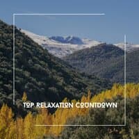 Top Relaxation Countdown