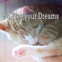 54 Free your Dreams