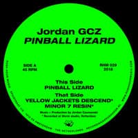 Pinball Lizard