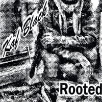 Rooted (The Rude Album)