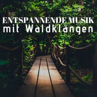 Entspannende Musik mit Waldklängen - Klaviermusìk Modern