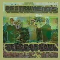 Seeds of Soul