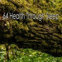 64 Health Through Sleep