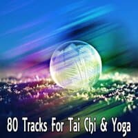 80 Tracks For Tai Chi & Yoga