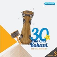 30 Cha Cha Rohani, Vol. 3