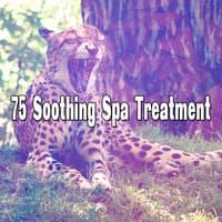 75 Soothing Spa Treatment