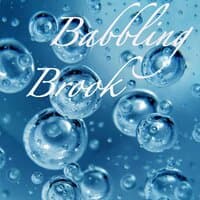 Babbling Brook, Self Healing Music