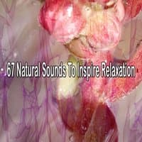 67 Natural Sounds To Inspire Relaxation