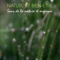 Nature et Bien-être - Sons de la Nature et Musique