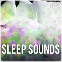 Sleep Sounds – Music Therapy, Lullabies, Sleep Music, Calmness, Nature Sounds, Meditation, Deep Sleep, Relaxation, New Age