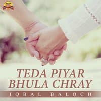 Teda Piyar Bhula Chray - Single