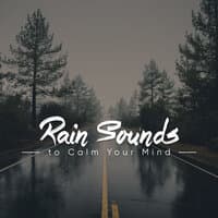 #15 Calming Rain Sounds - Quiet and Reflective