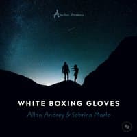 White Boxing Gloves