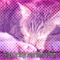 79 Tracks For Sleepy Sounds Whimsical Dreams