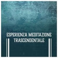 Esperienza meditazione trascendentale - Musica terapeutico per l'armonia, bagno di gong e la terapia del suono, suoni rilassanti della natura, viaggio astrale, bilanciamento dei chakra