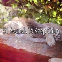 51 Sounds To Keep Calm