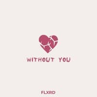 Without You