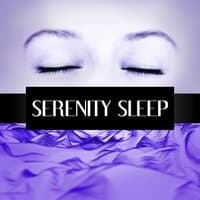 Serenity Sleep – Sleep Well, Restful Sleep, Inner Peace, Yoga & Relaxation Meditation, Calming Piano Music