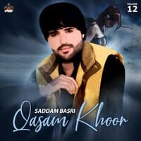 Qasam Khoor, Vol. 12