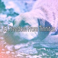 63 Freedom From Tinnitus