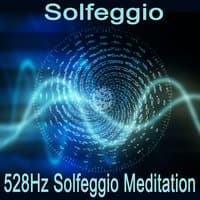 528Hz Solfeggio Meditation