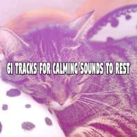 61 Tracks For Calming Sounds To Rest