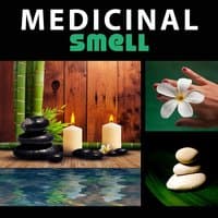 Medicinal Smell – Aromatherapy, Best Refresh, Nice Time, Delicate Sounds